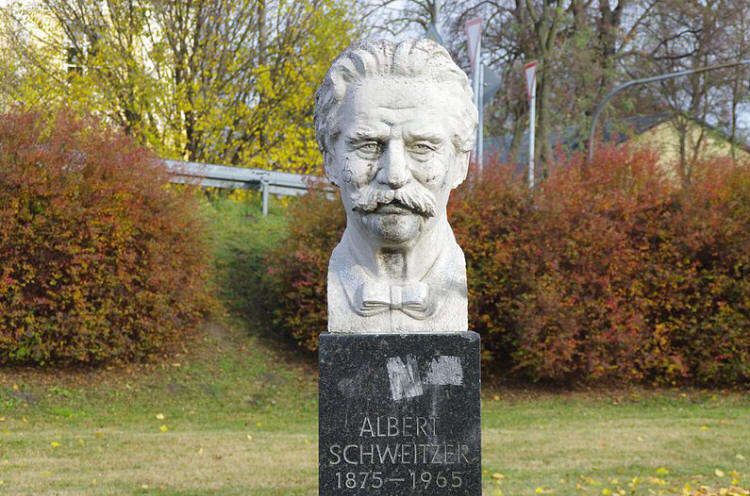 File:Albert Schweitzer Denkmal Bad Freienwalde.jpg